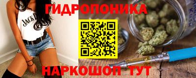 шишки Свободный