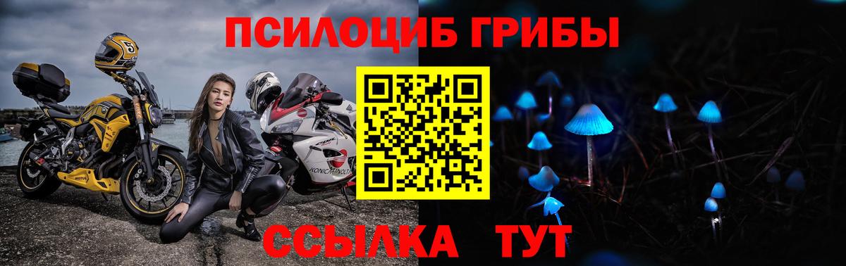 Галлюциногенные грибы Magic Shrooms Кулебаки